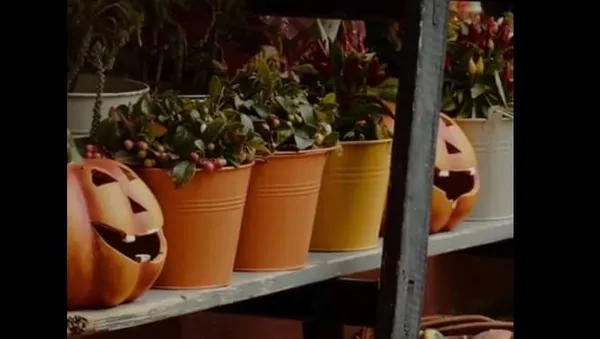 Psychológia predaja 3